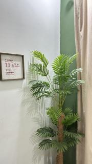 Modern 1BHK Self Check-in Fast WiFi B-17 - 3