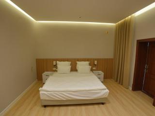 Mehron boutique Hotel with pool - 4