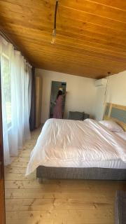 Cabana din vale - 5