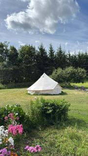 Vallimäe Glamping Otepää - 7