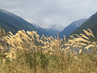 Summersfield Serenity - 1