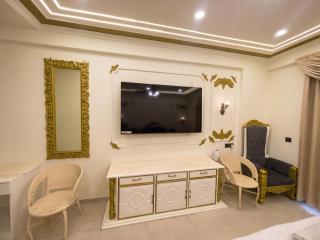 Hotel Om Sai Villa Gomti Nagar, Lucknow - 1