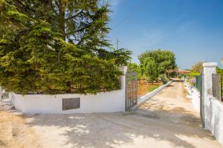 Casa Mediterranea dei Normanni - San Vito dei Normanni - 8
