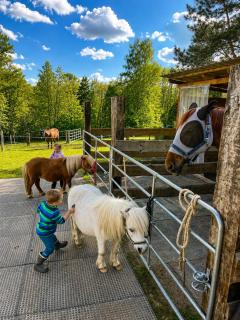 Country House on a Farm Bohemian Switzerland - 5