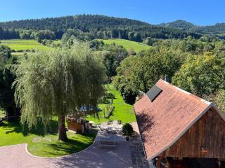 Le nid des mésanges, vallée de Villé - 9