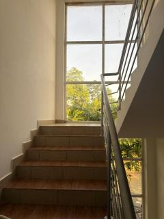 White house - 4