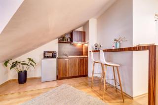 Alpine Style Studio in The Castle - 9