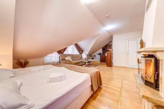 Alpine Style Studio in The Castle - 8