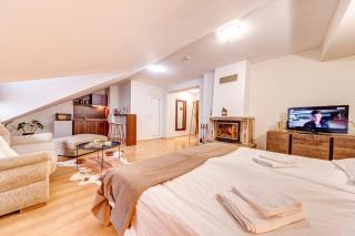 Alpine Style Studio in The Castle - 2