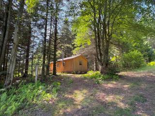 Lookout Cabin - 4