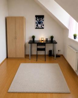Comfortable Furnished Room in Shared Apartment -D - 5