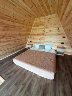 Vis de Munte Chalet - 3
