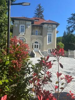 Vila Popovici - 0