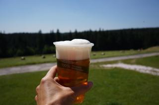 Pod křídly Krkonoš - 4