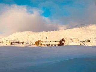 Great Family Cabin with fantastic hiking opportunities - 8
