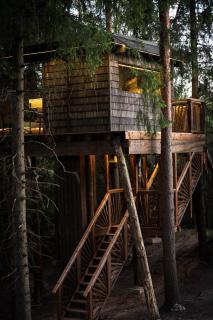 Lootvina Houses - Luxury treehouse with all modern amenities - 0