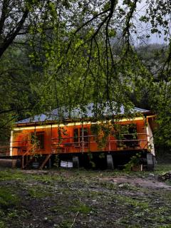 Kopjashar ata - 1