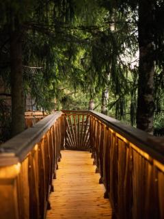 Lootvina Houses - Luxury treehouse with all modern amenities - 1