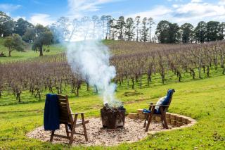 Whispering Vines - Scenic Country Retreat with Pool - 9