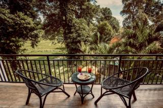 Luxury Treehouse, Stunning View, Great Location! - 5