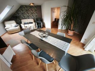 Elb-Oase Ruhige Auszeit mit Sauna, Klima & Massage - Barby - 9