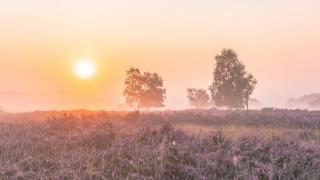 Landgoed Oud Beekdal - 2