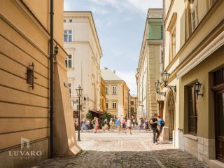 Grodzka Corner Apartments by Luvaro - 9