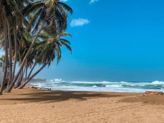 6BR Beachfront Compound w-Generator & Games - 7