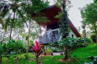 Lake Front stay by wildvill stays - 8