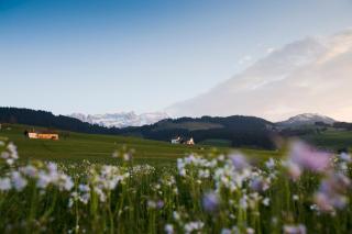 Hotel Landgasthof Eischen - Appenzello - 2
