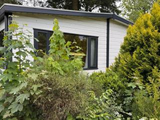 Veluwe Voorthuizen Holiday House - On Child Friendly Park With Swimming Pool and Restaurant - 7