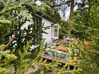 Veluwe Voorthuizen Holiday House - On Child Friendly Park With Swimming Pool and Restaurant - 5