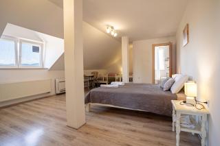 Guesthouse Viktorija Flat - Deluxe Apartment - 4