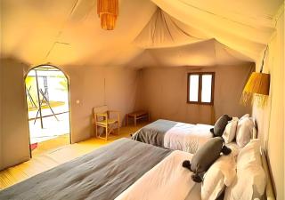 Sahara Infinity Luxury Camp - 1