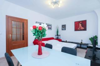 Spacious Apartment steps from the City Centre - 2