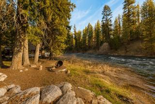 Rivers Edge Retreat - 3