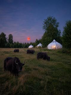 Dusk | En privat nordisk natur retreat - 9