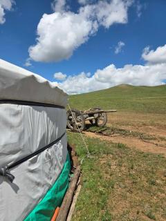 Steppe Naadam Lodge - 2