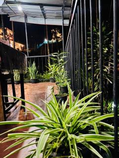 Sunburst view - 5