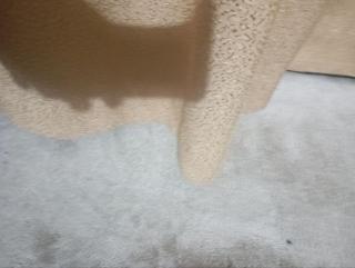 Un Endroit Pour Moi appartement Frank - 1