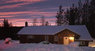 The Cozy Family Mountain Retreat - 9