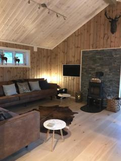 The Cozy Family Mountain Retreat - 9
