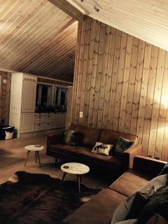 The Cozy Family Mountain Retreat - 2