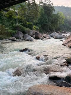 Suryodaya Homestay - 6