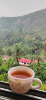 Suryodaya Homestay - 4