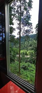 Suryodaya Homestay - 3