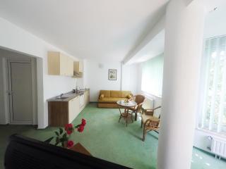 Vila Elena - Eforie Nord - 3