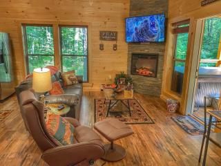 Quiet~Peaceful~fast WIFI~Dollywood, F/P hottub#11 - 1