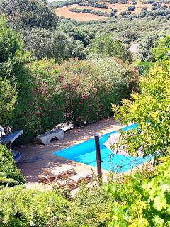 Relax rural a 45min de Madrid Garden kids pets - 0