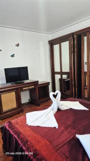 Pensiunea TV Condor - 5